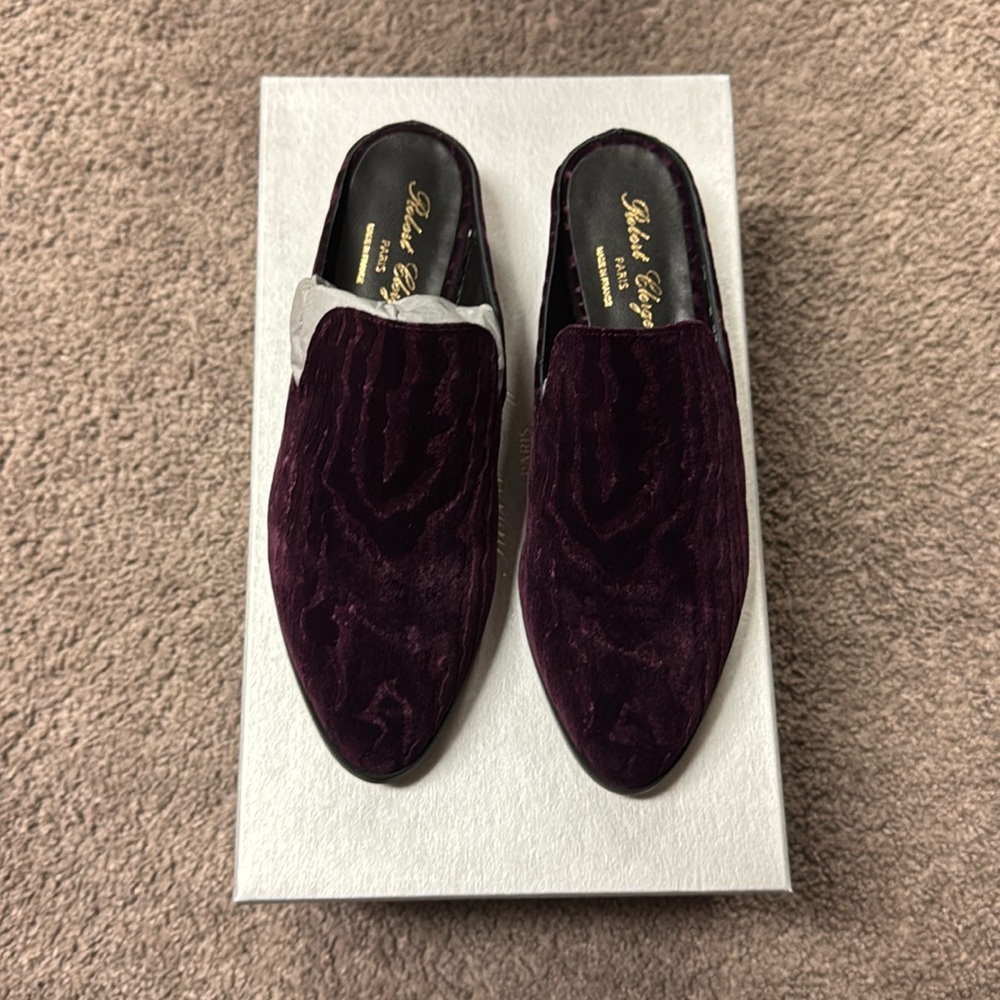 (BRAND NEW) Robert Clergerie Shoes